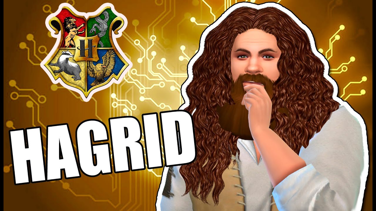 sims 4 harry potter